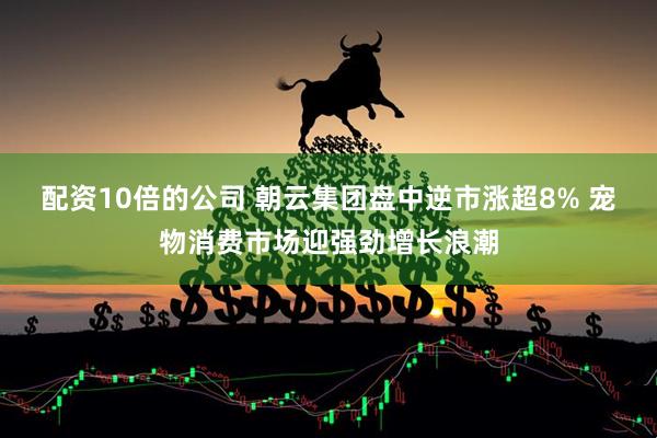 配資10倍的公司 朝云集團盤中逆市漲超8% 寵物消費市場迎強勁增長浪潮