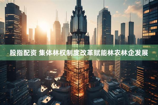 股指配資 集體林權制度改革賦能林農林企發展